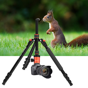 Camera Tripod,GEEKOTO 79" Light Aluminium Tripod Monopod with 360° Panorama Ball Head, Tripod for DSLR Camera with 1/4” Quick Release Plate and Carrying Bag