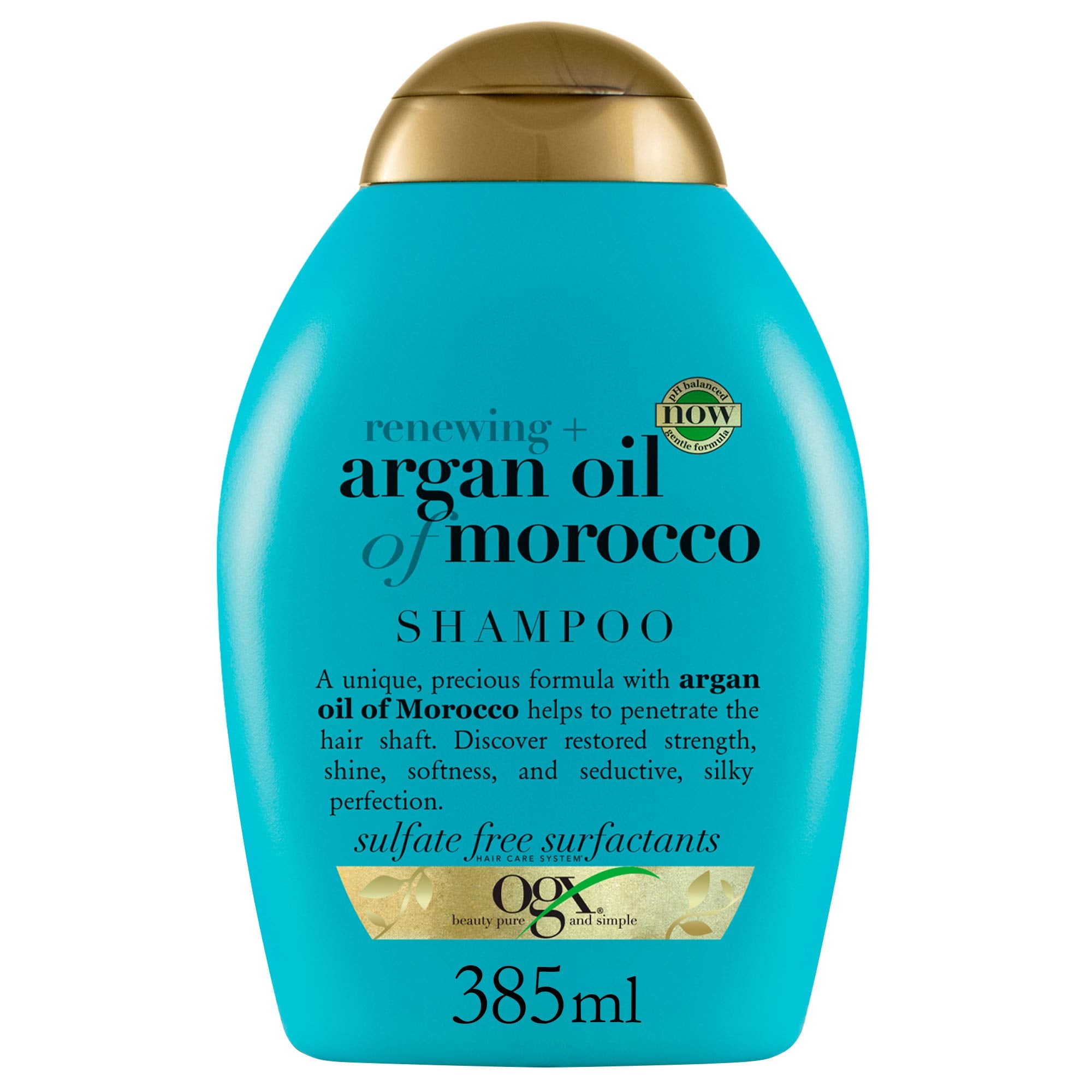 Artnaturals Moroccan Argan Oil Shampoo - (16 Fl Oz / 473ml) - Moisturizing,  Volumizing Sulfate Free Shampoo for Women, Men and Teens - Used for