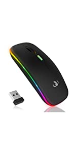 Wireless Gaming Mouse, RIIKUNTEK Wireless Mouse Rechargable, Gaming Mouse w/ 1600 DPI, Side Button, USB Receiver, RGB Light, 2.4GHz Ergonomic Optical Gaming Mice, Silent Mouse for Laptop PC Black