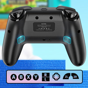 Wireless Switch Controller, VOYEE Switch Pro Controller Compatible with Nintendo Switch/Lite/OLED/PC Window, with M1/M2 Custom Button/Turbo/Gyro Axis/Screenshot/Dual Vibration