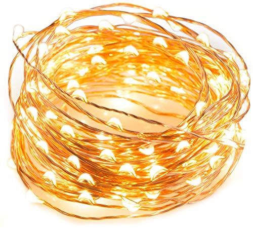 USB Powered Fairy LED Lights 5M/16 Ft. 50 LEDs, USB Plug in Waterproof Copper Wire String Lights Firefly Lights for Jars, Christmas Tree Decoration, Birthday Party and More (Warm White) (5M/16 Ft.)