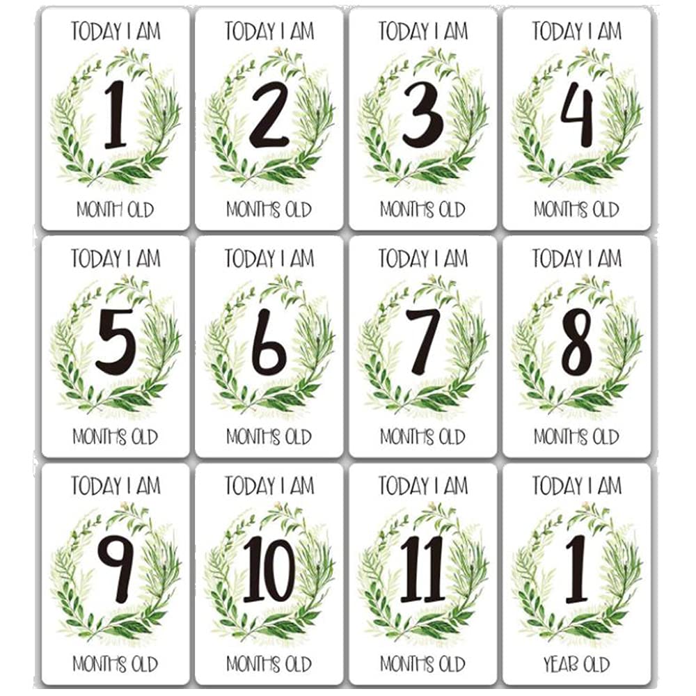 12 Pcs Baby Monthly Milestone Cards 1-12 Months Baby Cards Boy Girl Photo Keepsakes for Infant