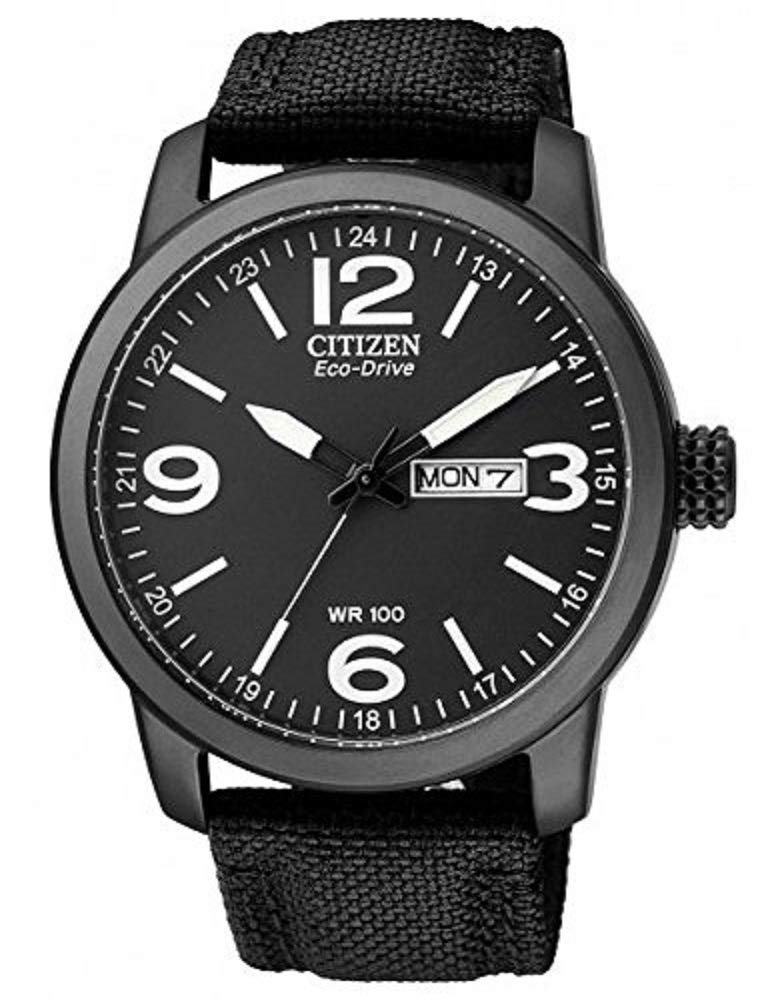 Citizen Eco-Drive Men's Leather Strap Watch