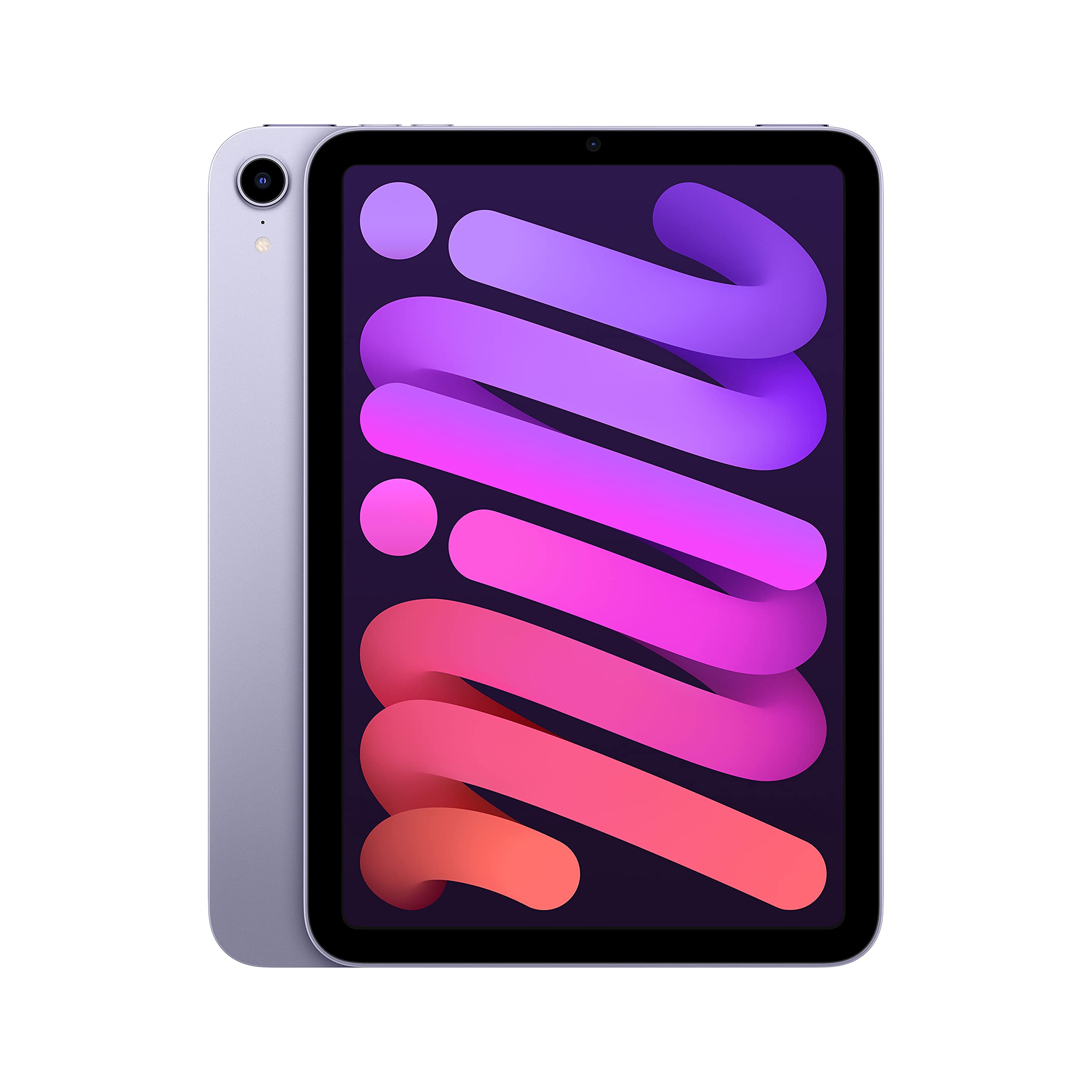 2021 Apple iPad mini (8.3-inch, Wi-Fi, 256GB) - Purple (6th Generation)