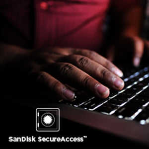 SanDisk Ultra Luxe 512GB USB 3.1 Flash Drive