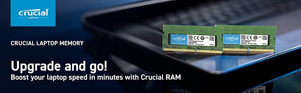 Crucial RAM CT8G4SFRA32A 8GB DDR4 3200MHz CL22 (or 2933MHz or 2666MHz) Laptop Memory, Green