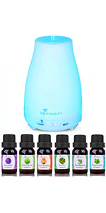 300ML Essential Oil Diffuser Remote Control Aromatherapy Diffuser Mist Humidifiers with 7 Color LED Lights and Waterless Auto Shut-Off for Bedroom Office House Kitchen Yoga