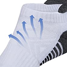 Lapulas Running Socks, 6 Pairs Cushioned Anti-Blister Trainer Socks Sports Socks Walking Socks Cotton Ankle Socks for Men Women Ladies Low Cut Breathable Athletic Socks