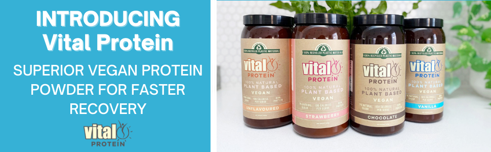 Vital Plant Protein Vanilla 500GM | 100% Plant Protein | Vegan Powder | Pea Protein | Gluten & Dairy Free | Natural | Complete Amino Acid Profile