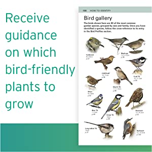 RSPB Pocket Garden Birdwatch